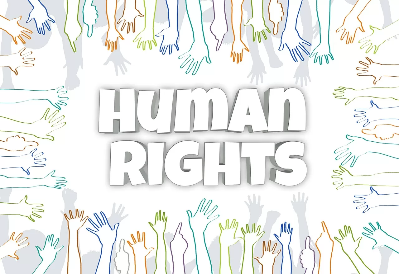 law, human right, human-597134.jpg